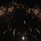 3183887.jpg