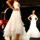 hochzeit254.jpg