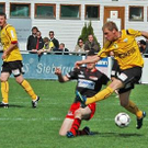 3306984.jpg