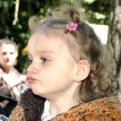 3371741.jpg
