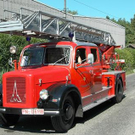 3405707.jpg