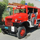 3405708.jpg
