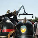 3405714.jpg