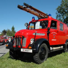 3405723.jpg
