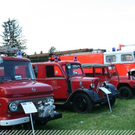 3410685.jpg