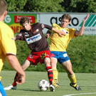 3409053.jpg