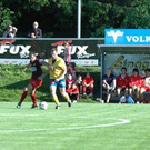 3409055.jpg