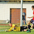 3431845.jpg