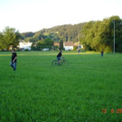 3451007.jpg
