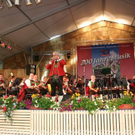 3471845.jpg