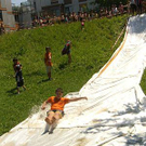 3491034.jpg