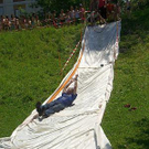 3491035.jpg