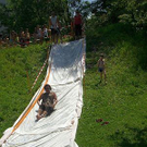 3491036.jpg