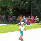 3491042.jpg