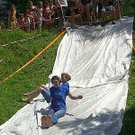 3491064.jpg