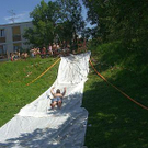 3491070.jpg