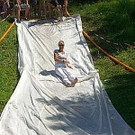 3491079.jpg