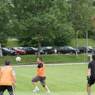 3501181.jpg