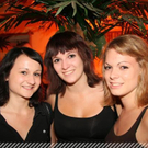 Mad Cats rocken das Landings