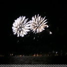 3510484.jpg