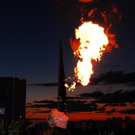 3522786.jpg