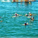 3524914.jpg