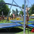 3525912.jpg