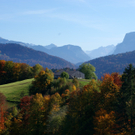 DSC02521.JPG