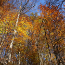 DSC02875.JPG