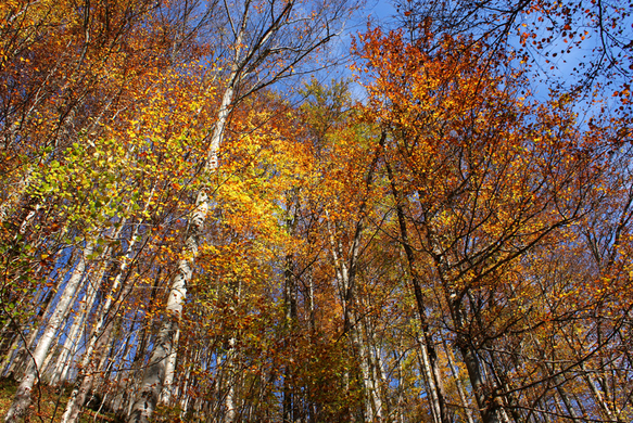 DSC02875.JPG