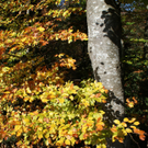 DSC02995.JPG