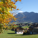 DSC03023.JPG