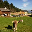 DSC06052.JPG