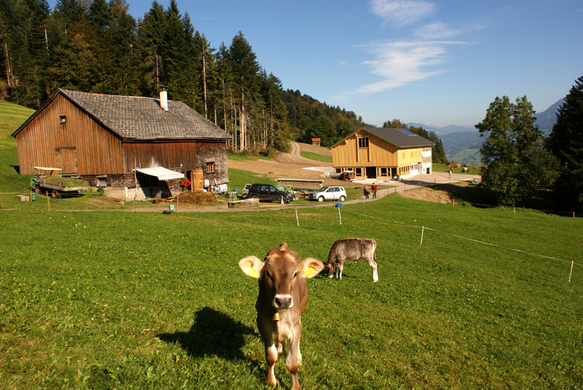 DSC06052.JPG