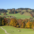 DSC06122.JPG