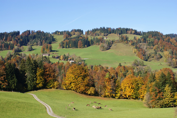 DSC06122.JPG