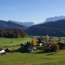 DSC06124.JPG