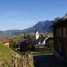 DSC06133.JPG