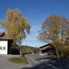 DSC06153.JPG