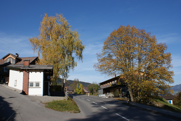 DSC06153.JPG