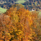 DSC06164.JPG
