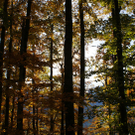 DSC06165.JPG