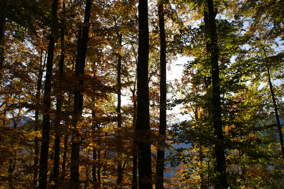 DSC06165.JPG