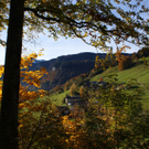 DSC06167.JPG