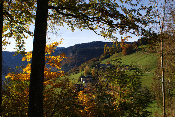 DSC06167.JPG