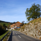 DSC06168.JPG