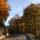 DSC06169.JPG