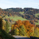 DSC06170.JPG