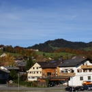 DSC06183.JPG