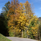 DSC06199.JPG
